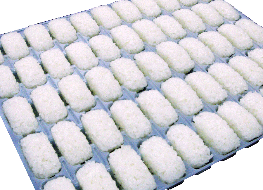 Nigiri Robot Tray Detail 2